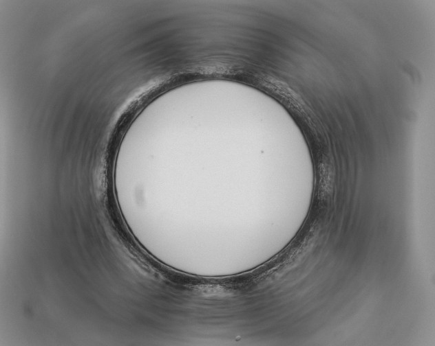 X0000112940392200909211138