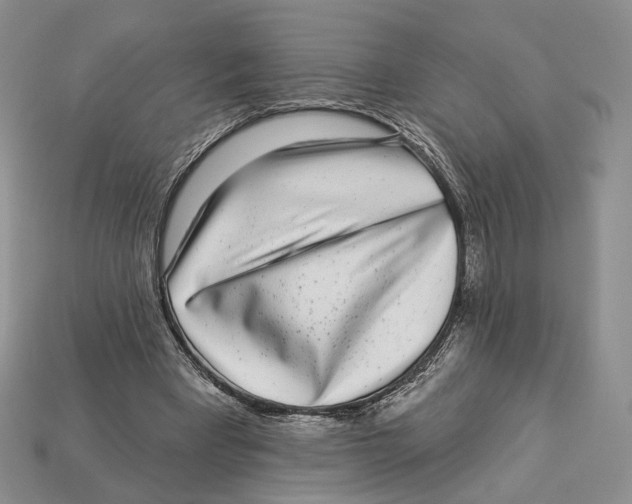 X0000112940393200909211138