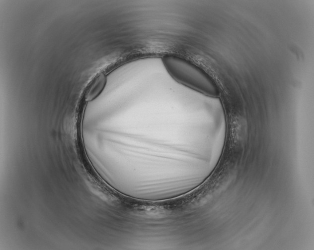 X0000112940395200909211138