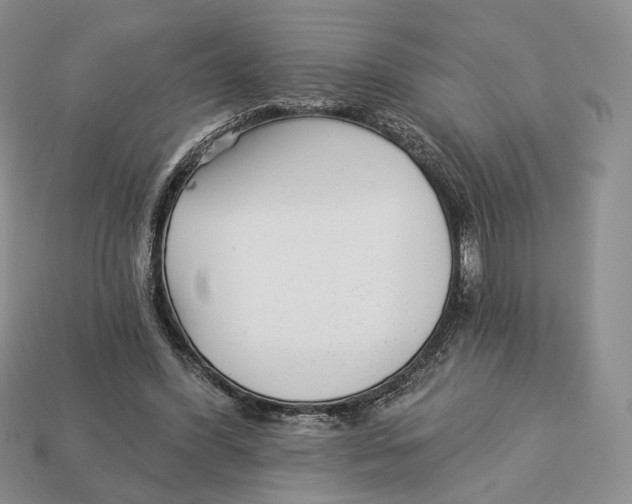 X0000112940396200909211138