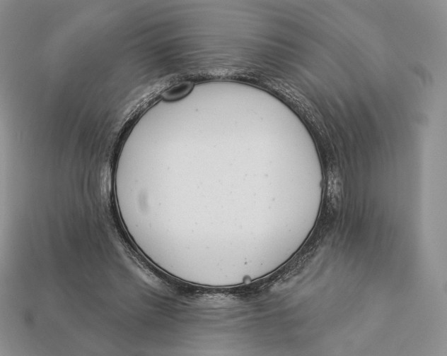 X0000112940397200909211138