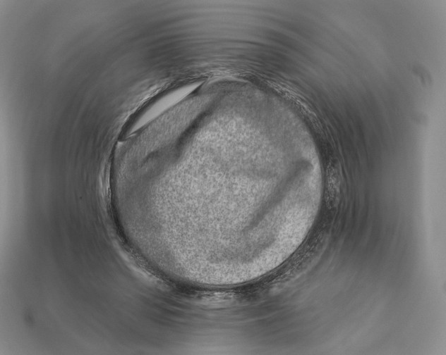 X0000112940398200909211138