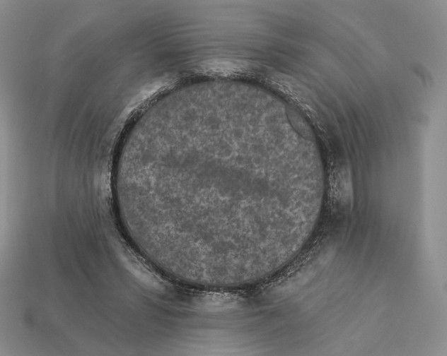 X0000112940399200909211138