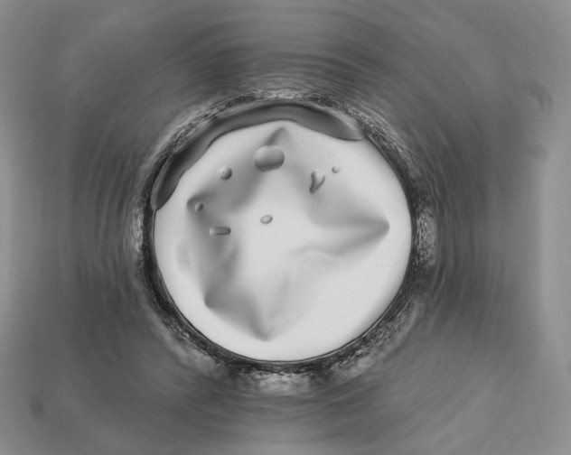 X0000112940400200909211138