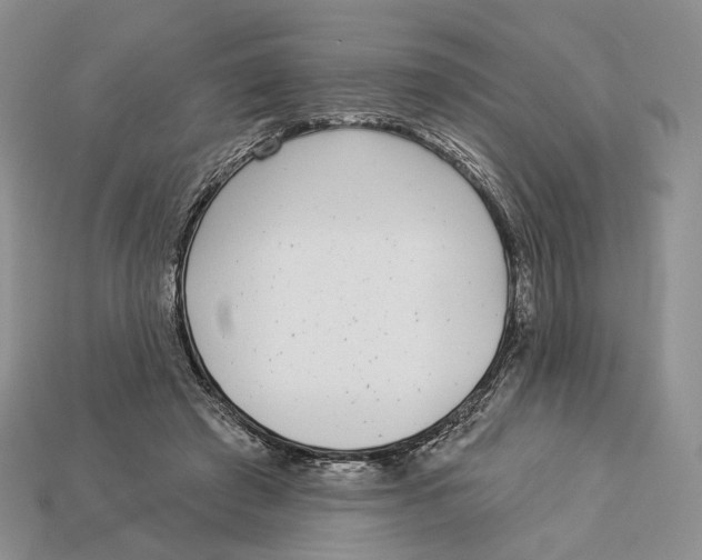X0000112940401200909211138