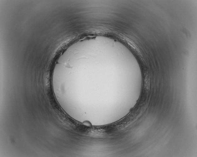 X0000112940403200909211138