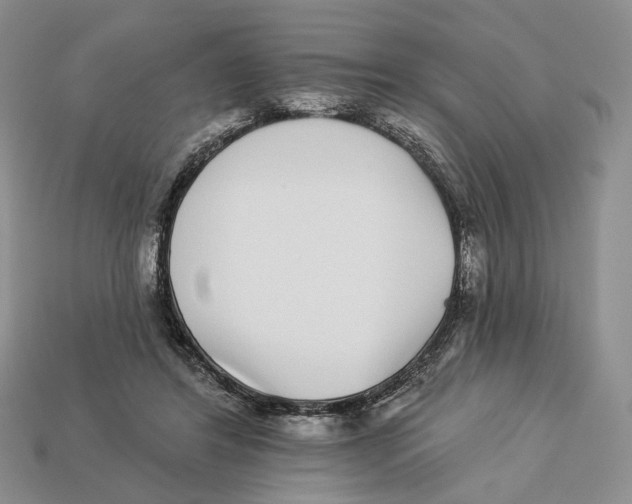 X0000112940404200909211138