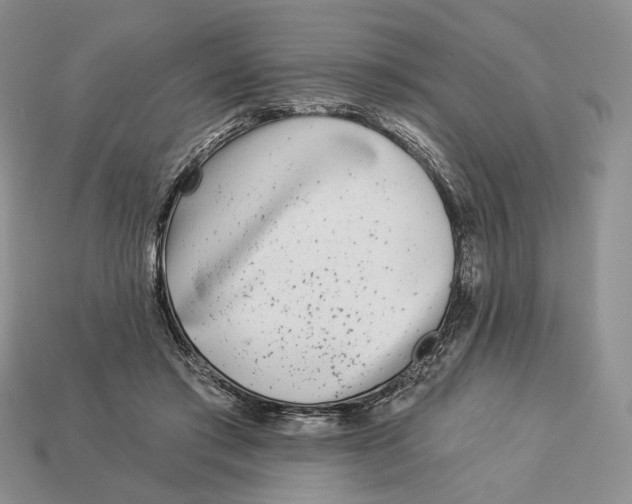 X0000112940405200909211138