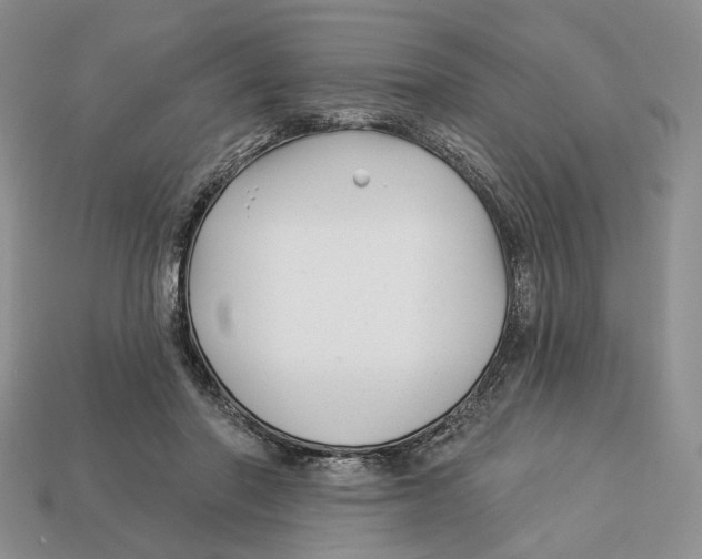X0000112940406200909211138