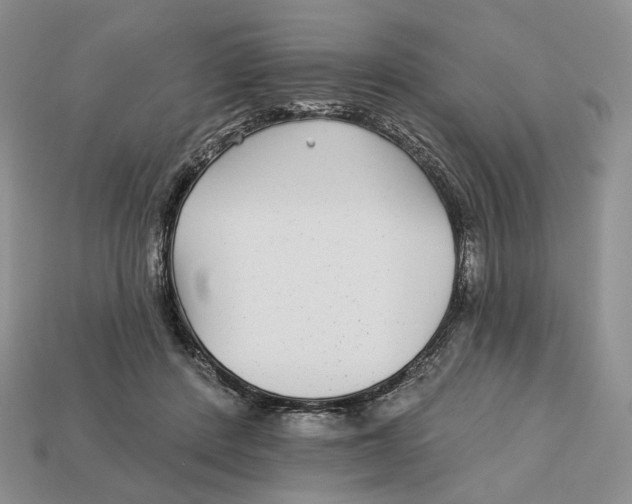 X0000112940408200909211138