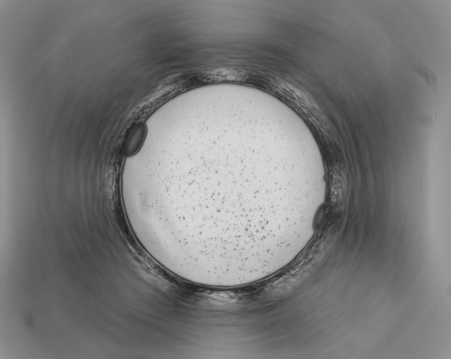 X0000112940409200909211138