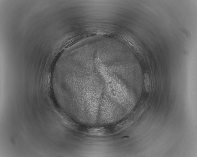X0000112940410200909211138