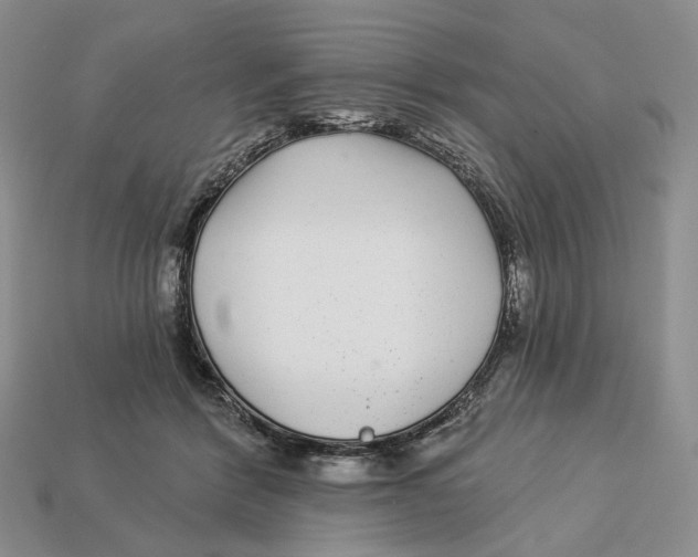 X0000112940412200909211138