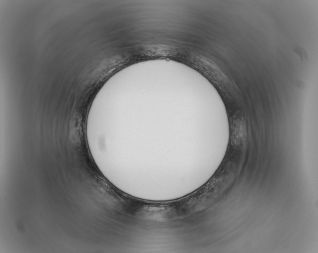 X0000112940414200909211138
