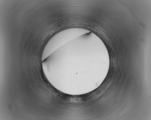 X0000112940415200909211138