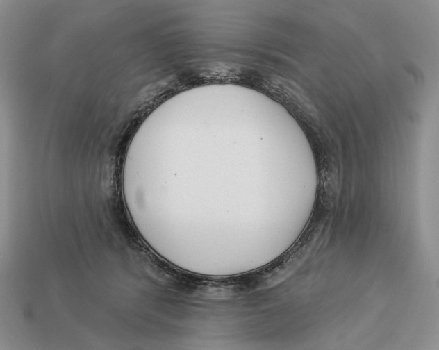 X0000112940416200909211138