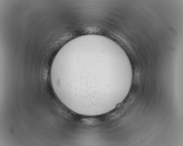 X0000112940417200909211138