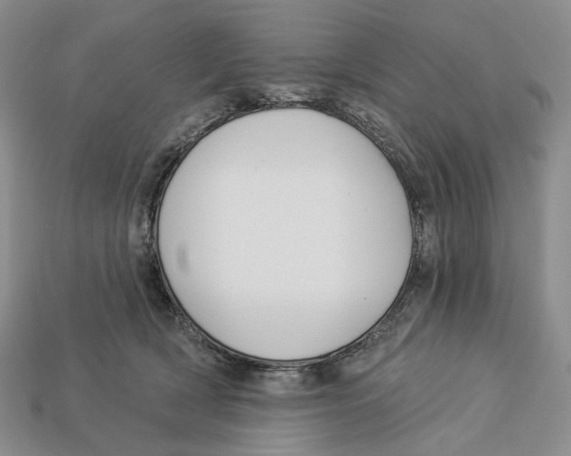 X0000112940418200909211138