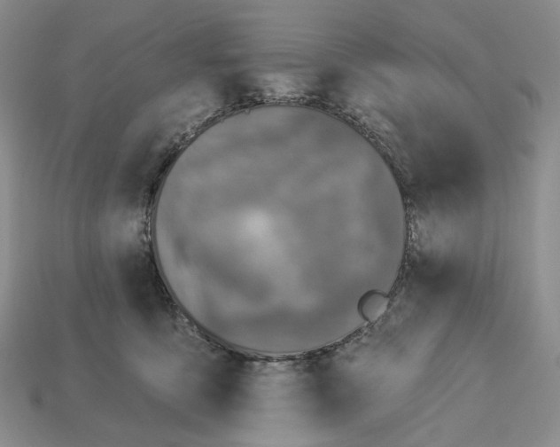 X0000112940419200909211138