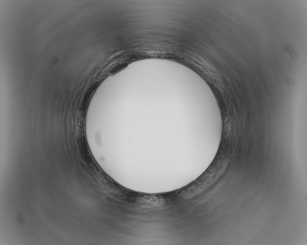 X0000112940421200909211138