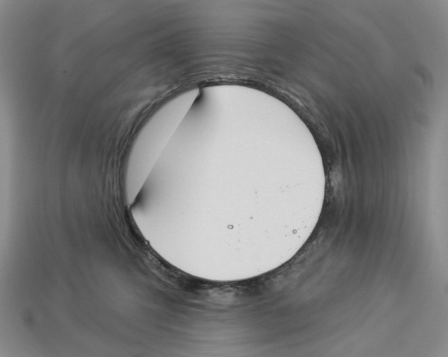 X0000112940423200909211138