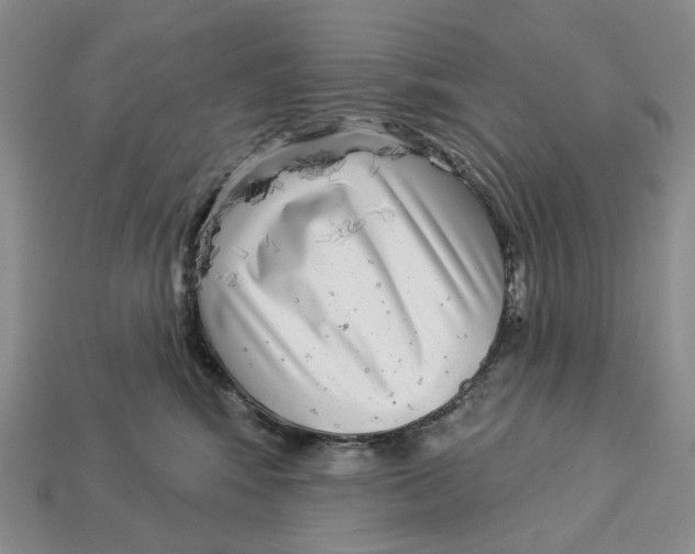 X0000112940424200909211138