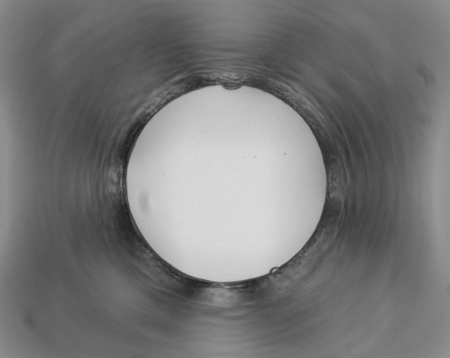 X0000112940425200909211138