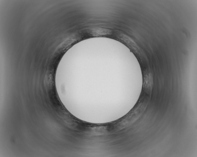 X0000112940426200909211138