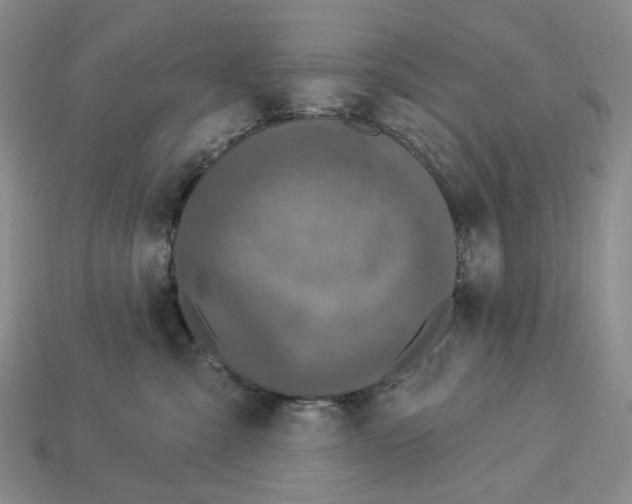 X0000112940427200909211138