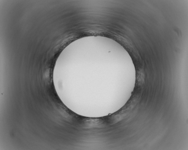 X0000112940428200909211138