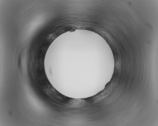 X0000112940429200909211138