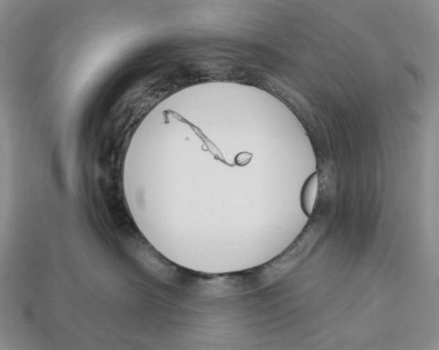 X0000112940430200909211138