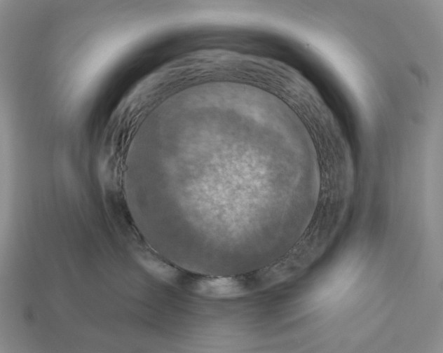 X0000112940431200909211138