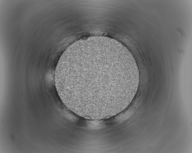 X0000112940432200909211138