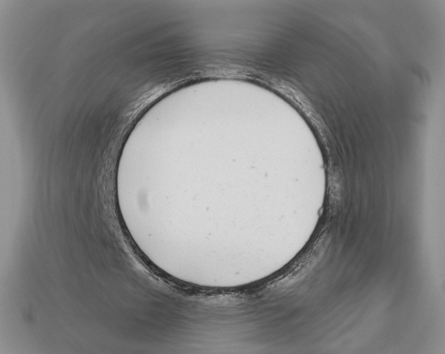 X0000112940433200909211137