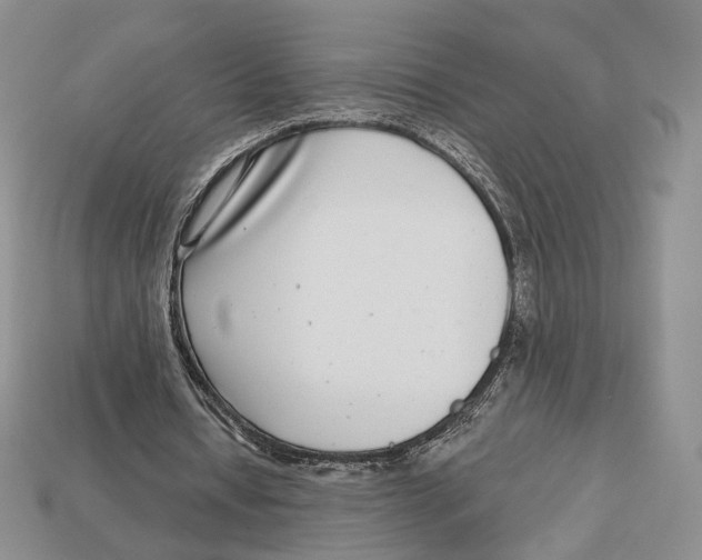 X0000112940434200909211137