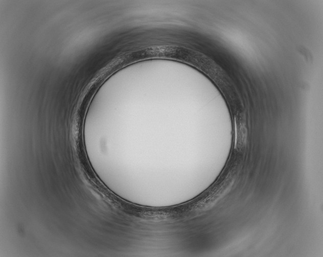 X0000112940435200909211137