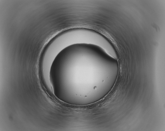 X0000112940436200909211137