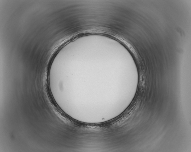 X0000112940437200909211137