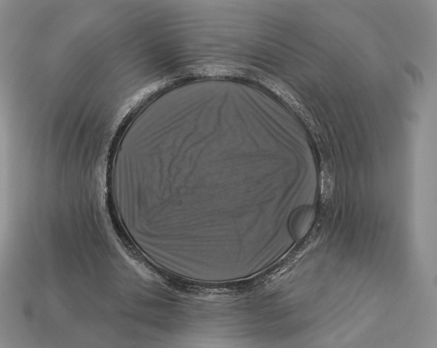 X0000112940438200909211137