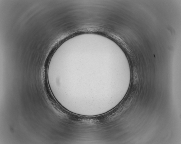 X0000112940439200909211137