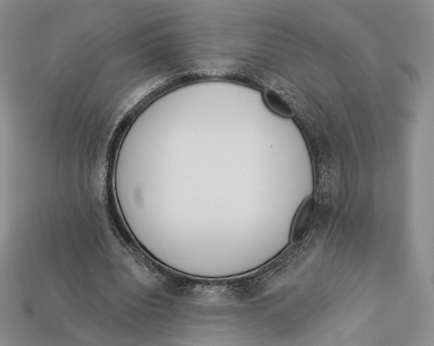 X0000112940440200909211137