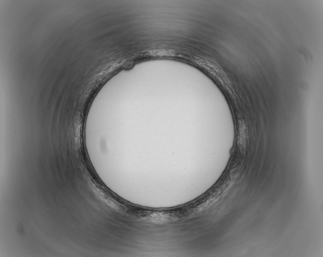 X0000112940441200909211137