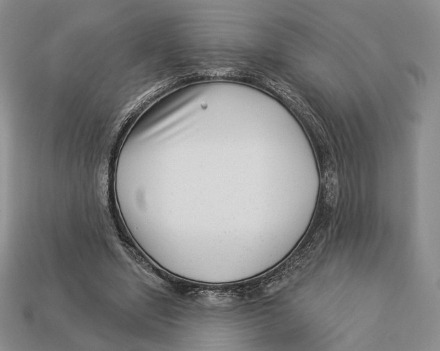 X0000112940442200909211137