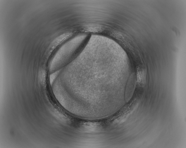 X0000112940444200909211137