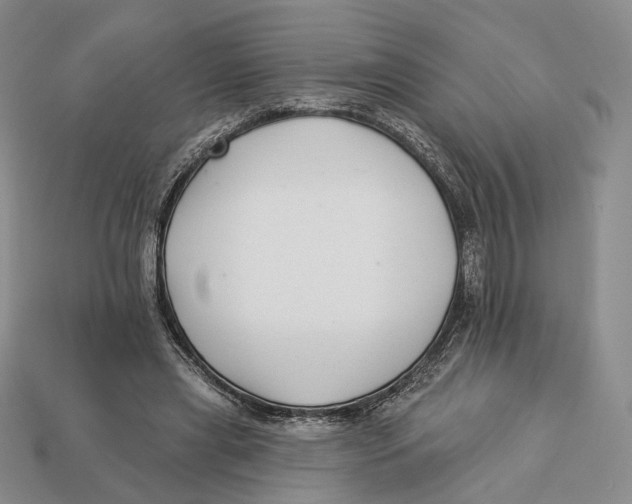 X0000112940445200909211137
