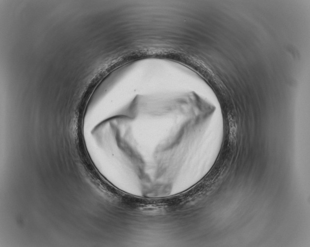 X0000112940447200909211137