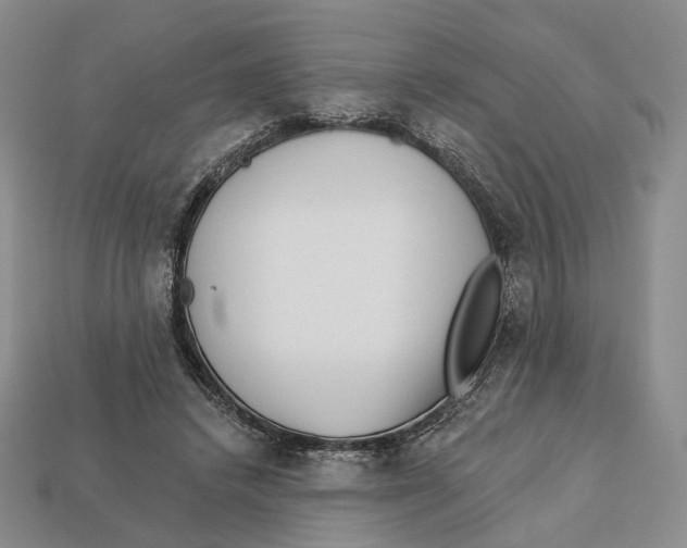 X0000112940448200909211137