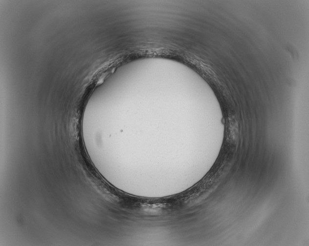 X0000112940450200909211137