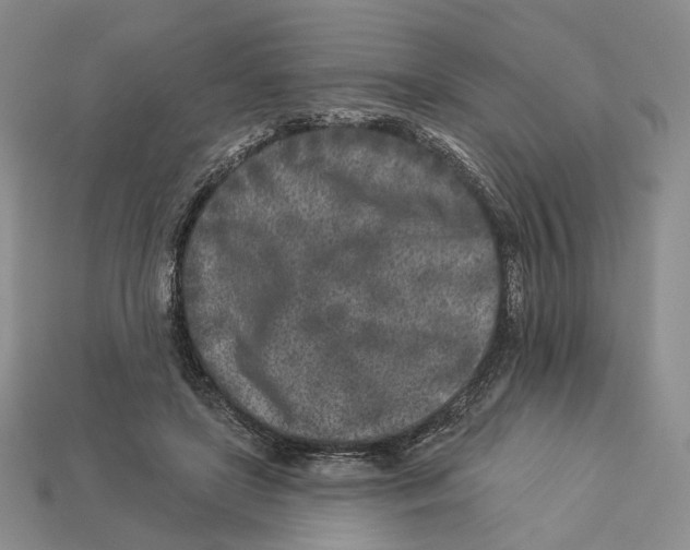 X0000112940451200909211137